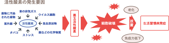 活性酸素の発生要因