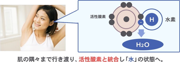 肌の隅々まで行き渡り、活性酵素と結合し「水」の状態へ